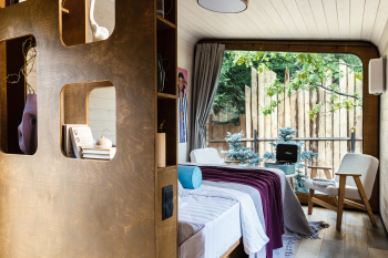 Ежевика — фото 1