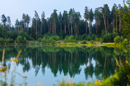 Московская область