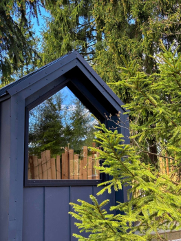 Черника — фото 1