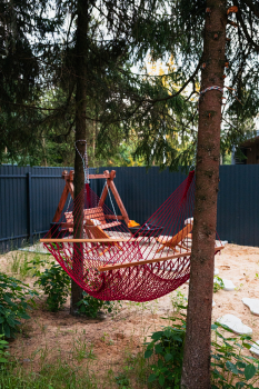 Крыжовник — фото 17