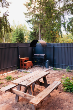 Лимонник — фото 16