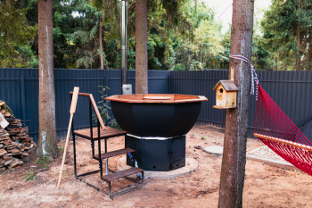 Лимонник — фото 15