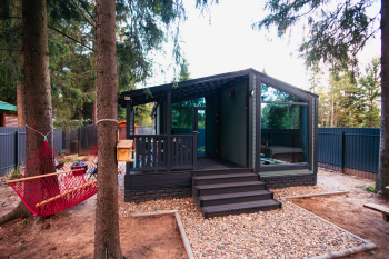 Лимонник — фото 1