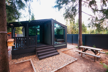 Лимонник — фото 2