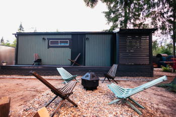 Лимонник — фото 12