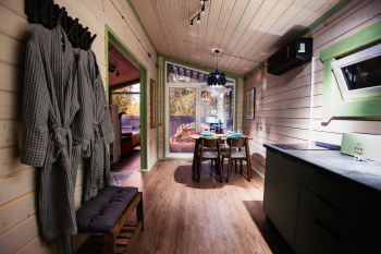 Лимонник — фото 8