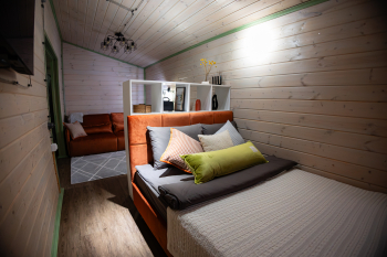 Лимонник — фото 3