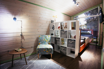 Лимонник — фото 4