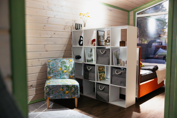 Лимонник — фото 5