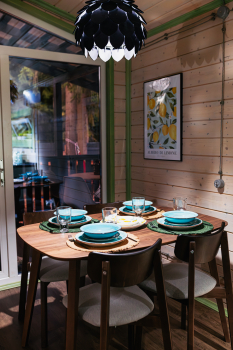 Лимонник — фото 7