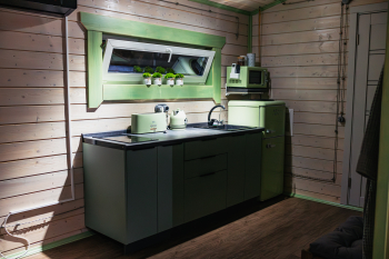 Лимонник — фото 6