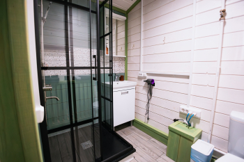 Лимонник — фото 11