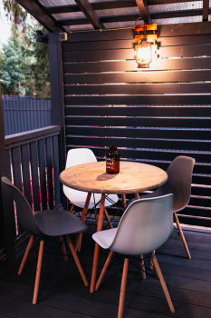 Лимонник — фото 14