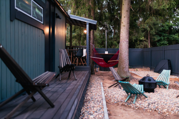 Лимонник — фото 13