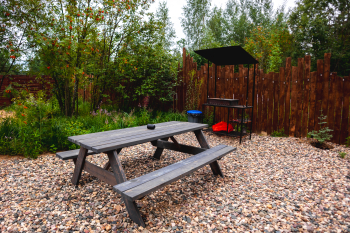 Малина — фото 17