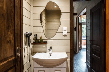 Крыжовник — фото 11