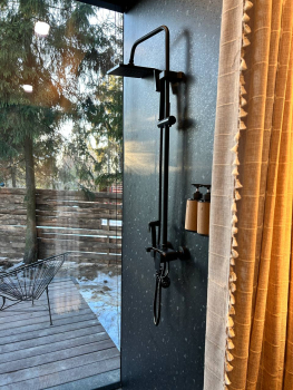 Облепиха — фото 6