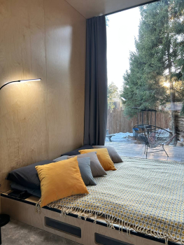 Облепиха — фото 2