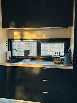 Облепиха — фото 3