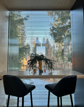 Облепиха — фото 4