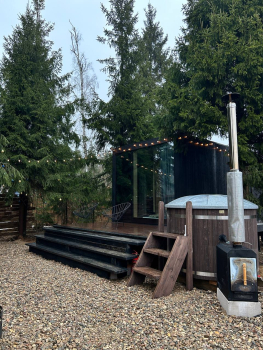 Облепиха — фото 1