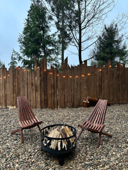 Облепиха — фото 8