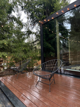 Облепиха — фото 11