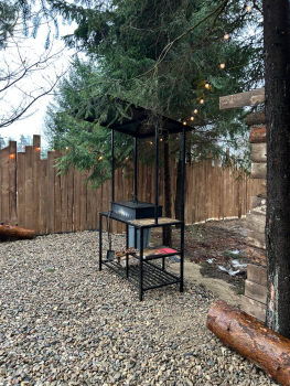 Облепиха — фото 9