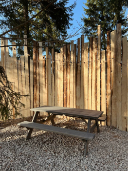 Черника — фото 12