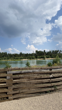 Рябина (чан не работает) — фото 10