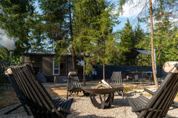 Смородина — фото 10