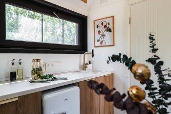 Земляника — фото 4