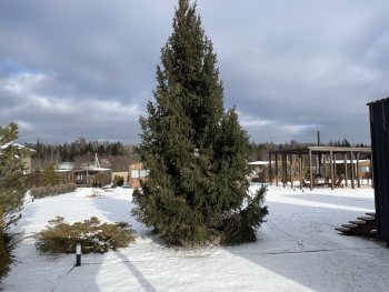 КОМФОРТНЫЙ ДОМ №1 — фото 7