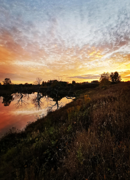 Дом у пляжа — фото 13