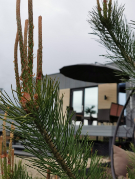 Anna Villa — фото 3