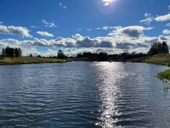 Дом у пляжа — фото 28