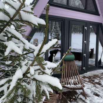 Участок с домиком "Баклажан" с камином и купелью на террасе купелью — фото 12