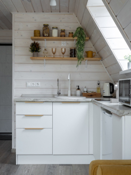 Участок с домиком "Репа"  с купелью на террасе — фото 24