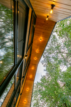 Шелест  — фото