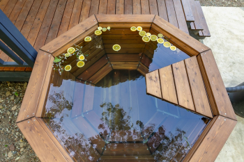 Барн 1 — фото 3