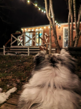 Солнечный склон — фото