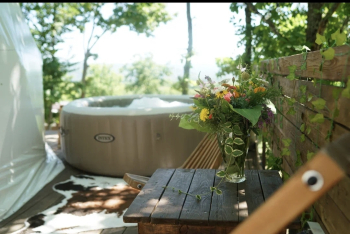 Купол Делюкс — фото 13