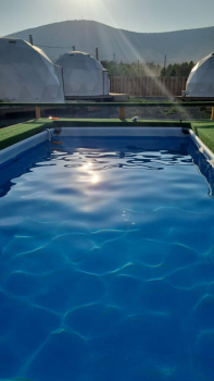 Дом стандарт — фото 9