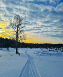 Лыжи — фото 1