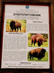 Ферма — фото 3