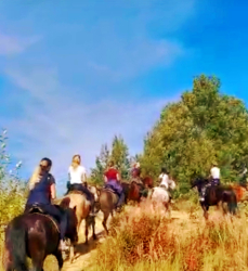 Конные прогулки — фото 3