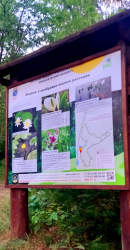 Экскурсии — фото 1