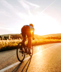 Велопрогулки — фото 3