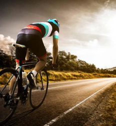 Велопрогулки — фото 6