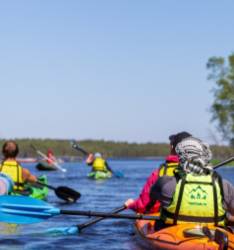 Каяки — фото 1